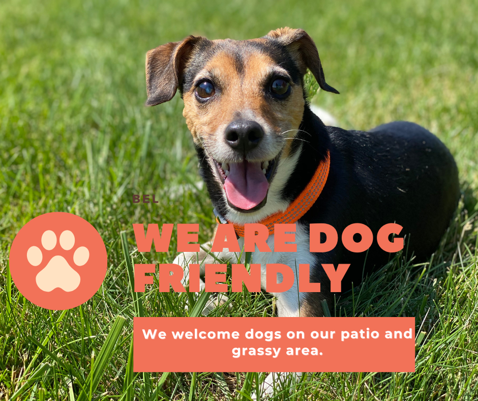 We are dog friendly! We welcome dogs on our grassy area only.