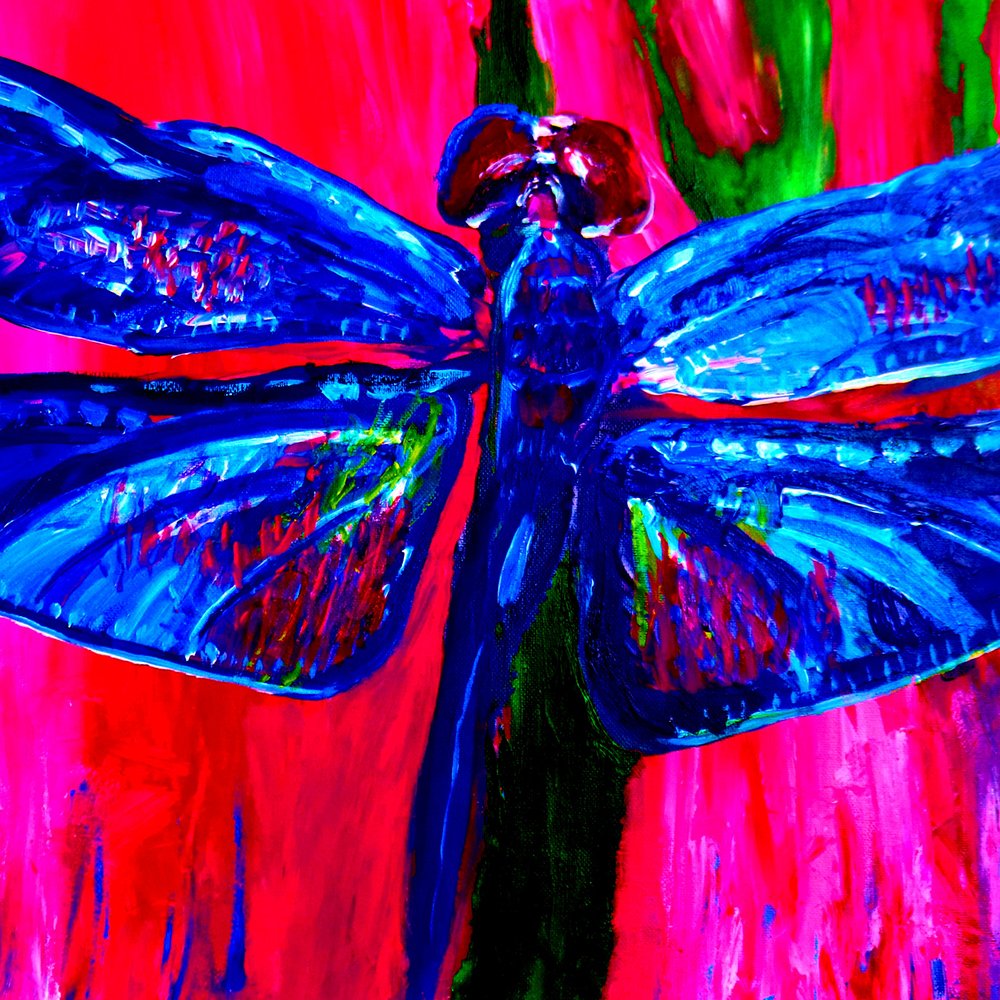 Dragonfly 72 
