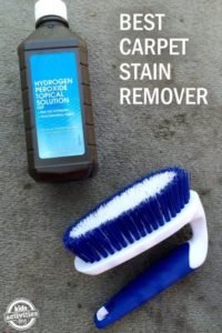 best carpet stain remover